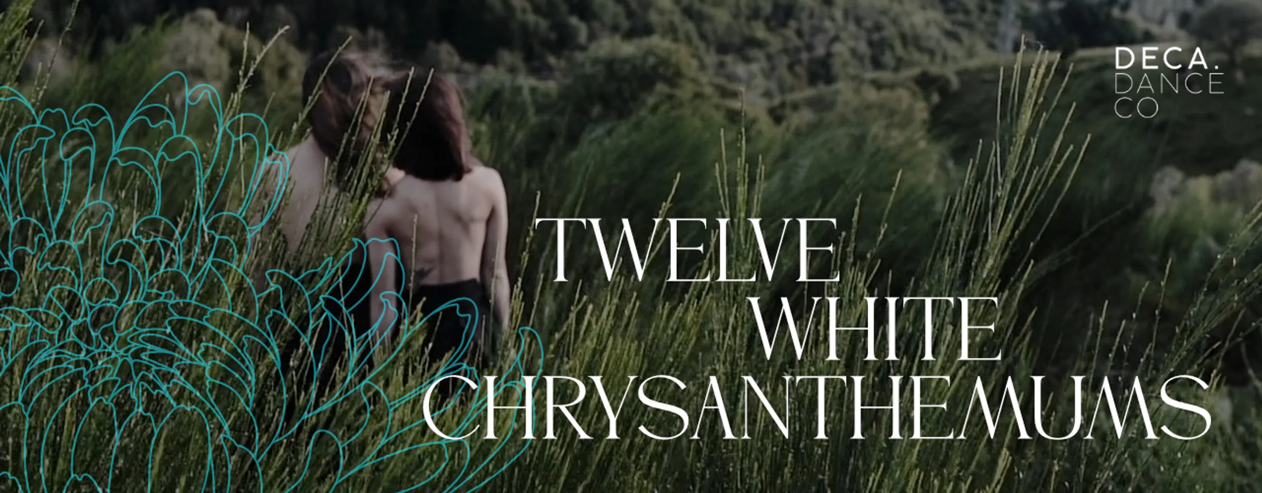 Twelve White Chrysanthemum